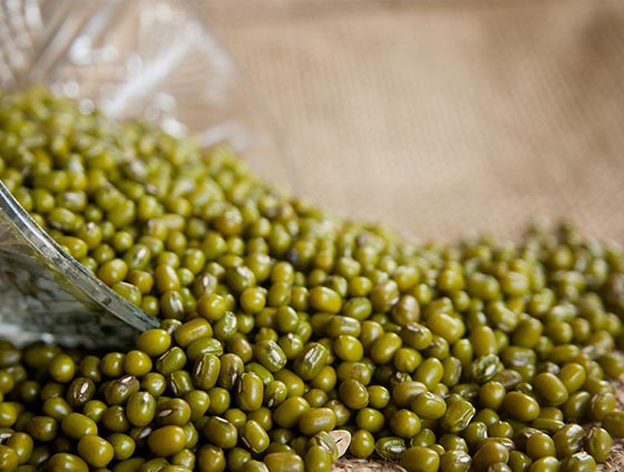 农作物产品展示