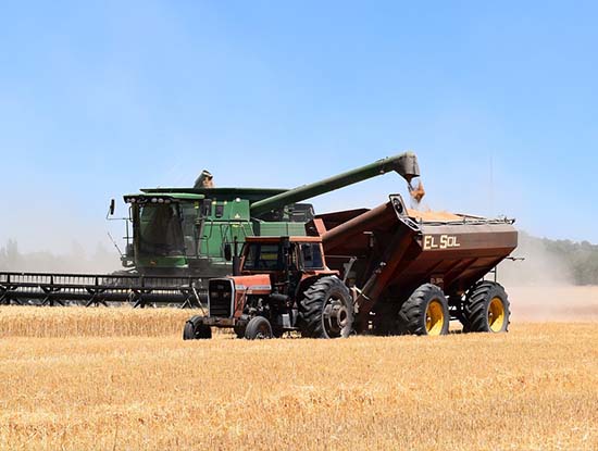 某某某产品展示