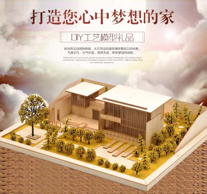 某某某产品展示