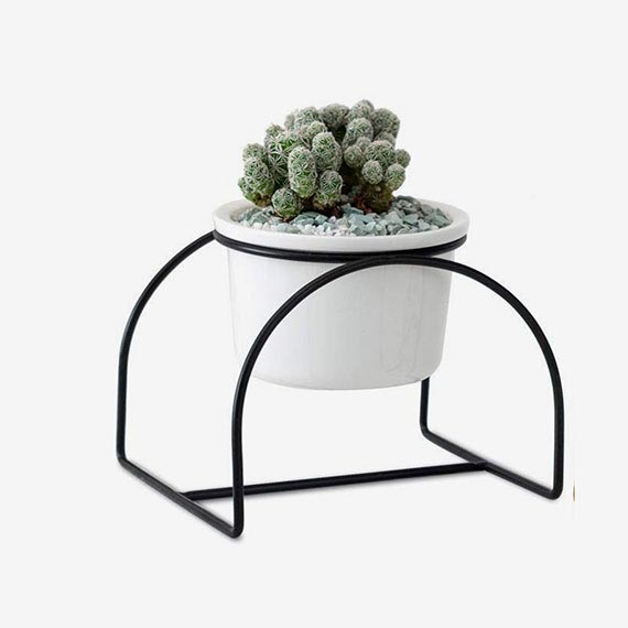 某某某产品展示