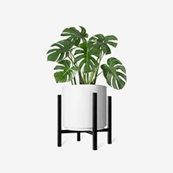 某某某产品展示