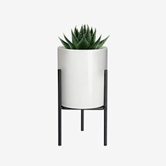 某某某产品展示