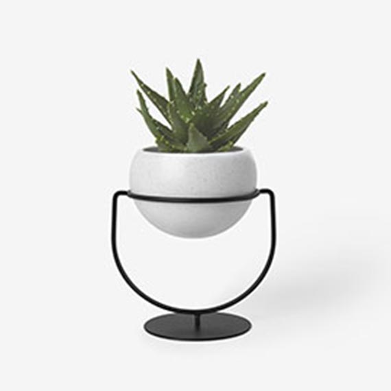 某某某产品展示