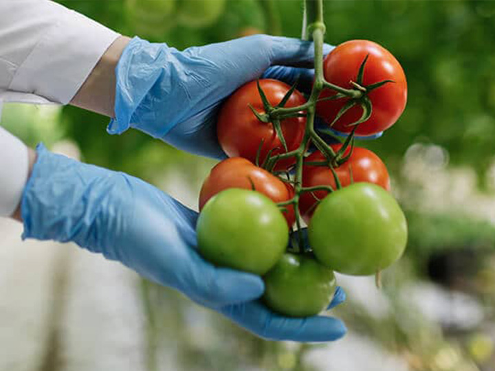 某某某产品展示