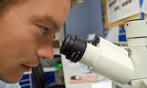 某某机械制造企业的服务范围